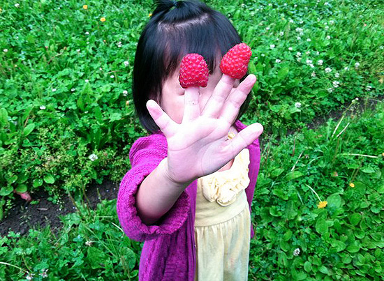 Kids-U-Pick-Berries