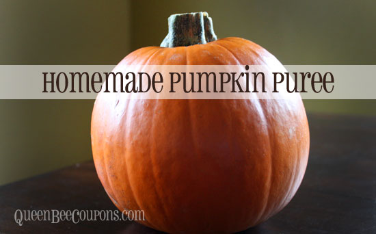 Homemade-Pumpkin-Puree-Recipe