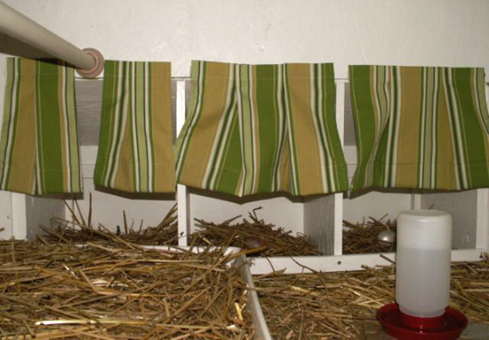 Nesting-Boxes-Curtains-Privacy