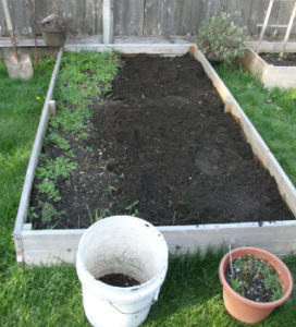 Weeding-Raised-Beds-March-2013