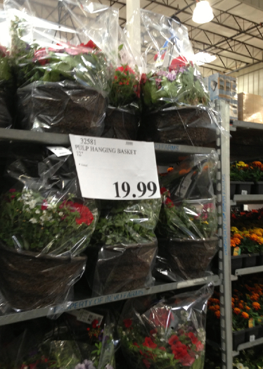 Costco-hanging-baskets-price