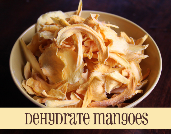 Dry-mangoes-dehydrate