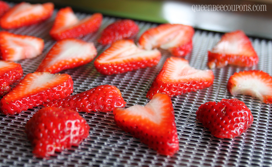 Drying-Strawberries-sliced-tray