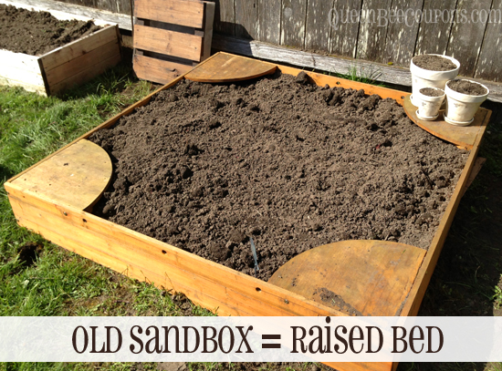 Old-Sandbox-Raised-Bed