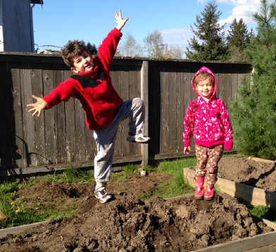 Raised-Beds-a-mess-king-of-the-hill-3
