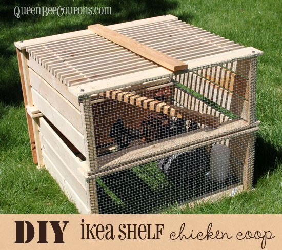 DIY-chicken-coop-from-ikea-shelf