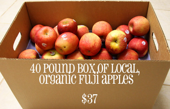 Organic-Apples-40-pound-box