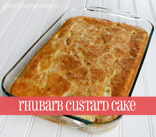 Rhubarb-Custard-Cake