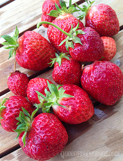 First-Harvest-strawberries-2013