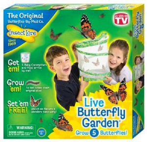 Live-Butterfly-Garden