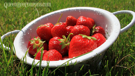 Strawberries-June-15-2013