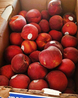 25-pounds-of-peaches-Thorp