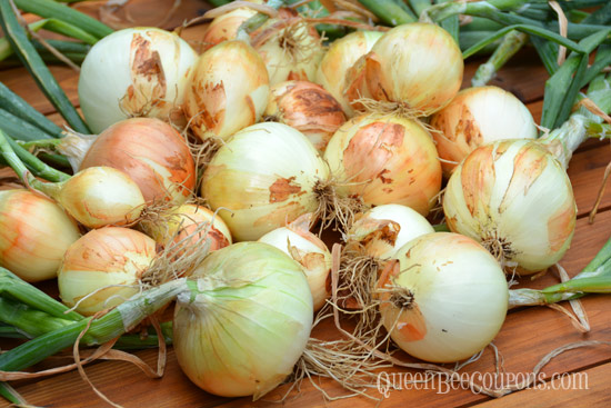 Beautiful-walla-walla-homegrown-onions