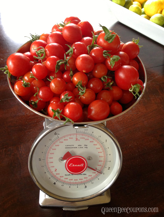 Tomatoes-Weighed-2-25-pounds