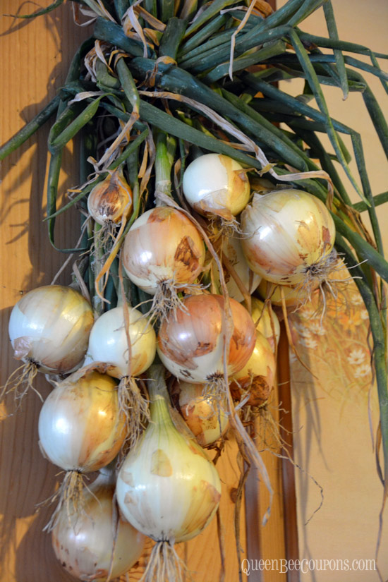 hanging-onions-to-dry-out