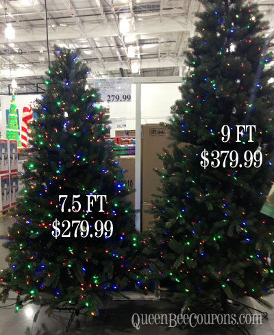 Costco-Christmas-Tree-Prices