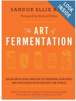 The-Art-of-Fermentation-Book