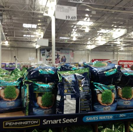 Costco-Smart-Seed-Pennington-grass