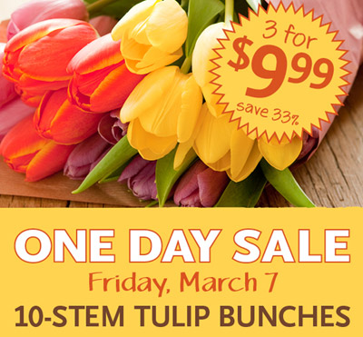 Whole-Foods-Tulip-Sale-Friday-March-17