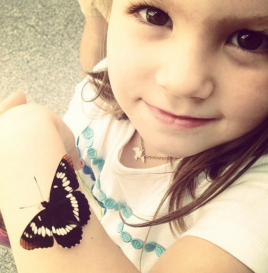 Butterfly-girl
