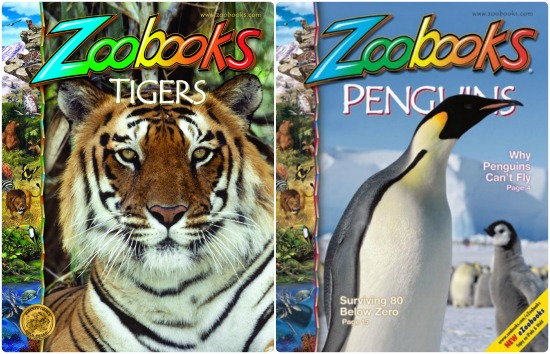 zoo-books-magazine-discount-mags