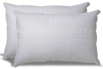 Set of 2 Down Alternative Hypoallergenic Pillows