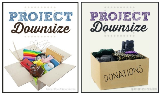 Project-Downsize-Updates