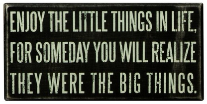 Enjoy the Little Things Box Sign