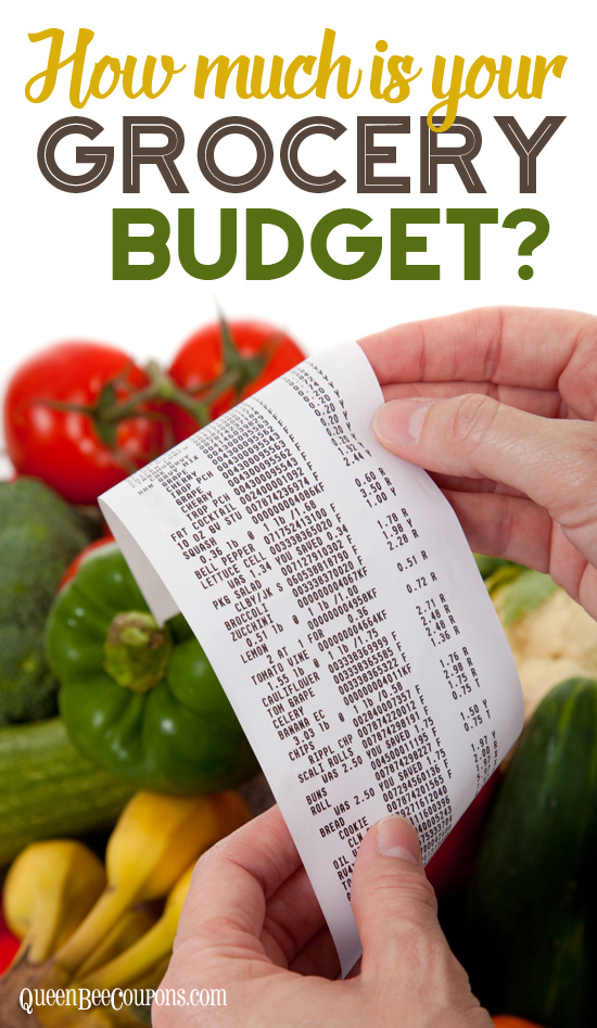 How-Much-Grocery-Budget
