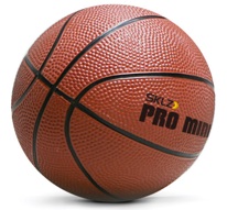 SKLZ-pto-mini-basketball