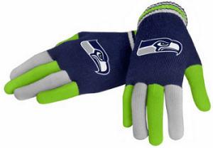 NFL Football 2014 Multi Color Team Logo Knit Gloves, Seahawks