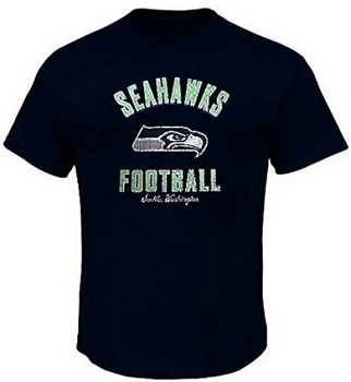 Seattle Seahawks NFL Distressed Women's Plus Size Shirt