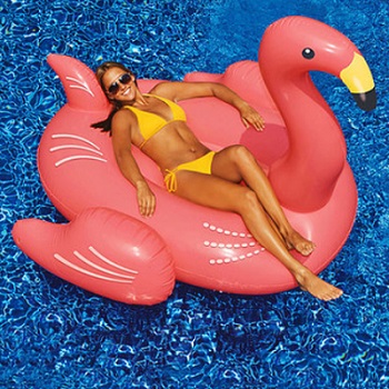 Zulily - Float into Fun