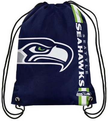 NFL 2015 Football Team Logo Side Stripe Backpack