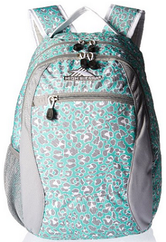 high-sierra-curve-backpack-18-5-x-12-5-x-8-5-inch-mint-leopard-ash-white