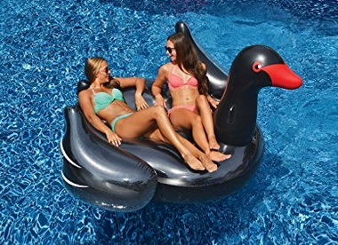 swimline-90628-giant-black-swan-ride-on-pool-float