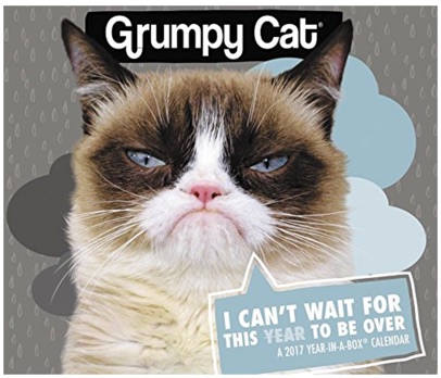 grumpy-cat-year-box-calendar