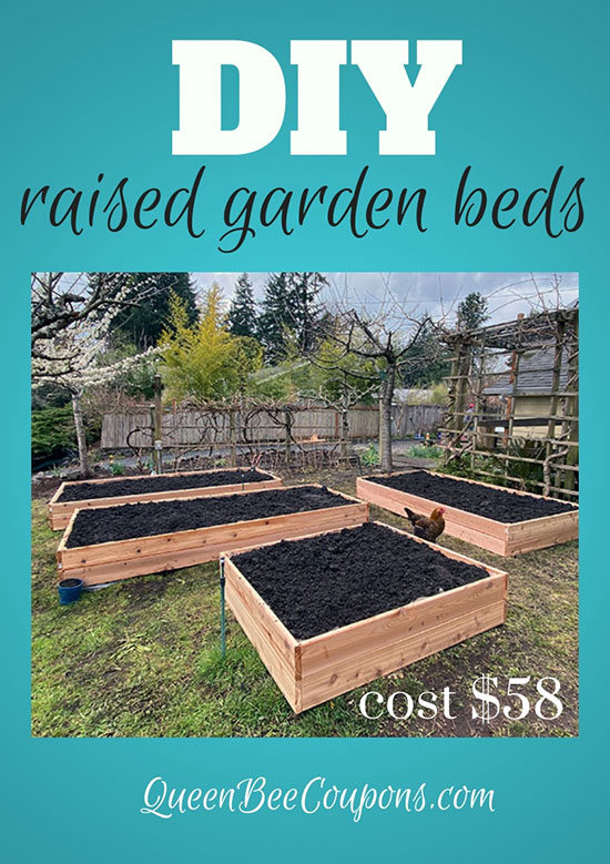 Planting strip raised garden beds